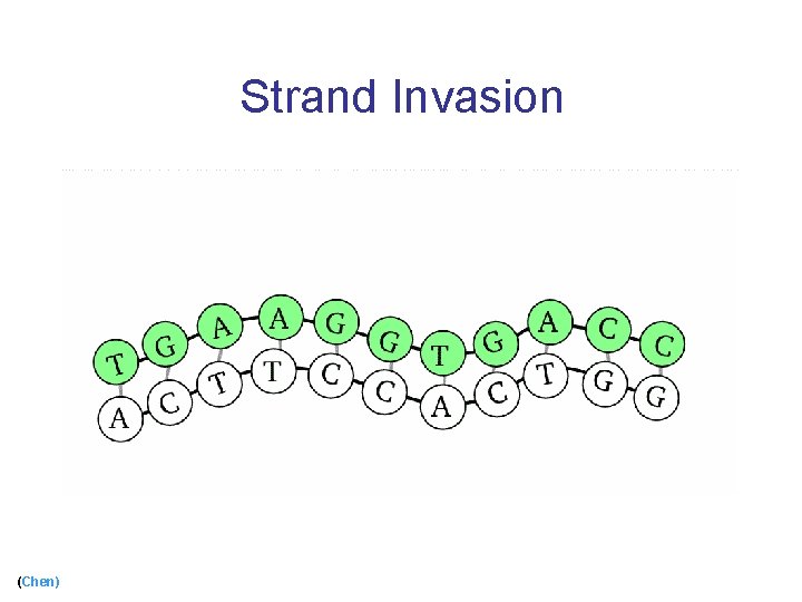 Strand Invasion (Chen) 