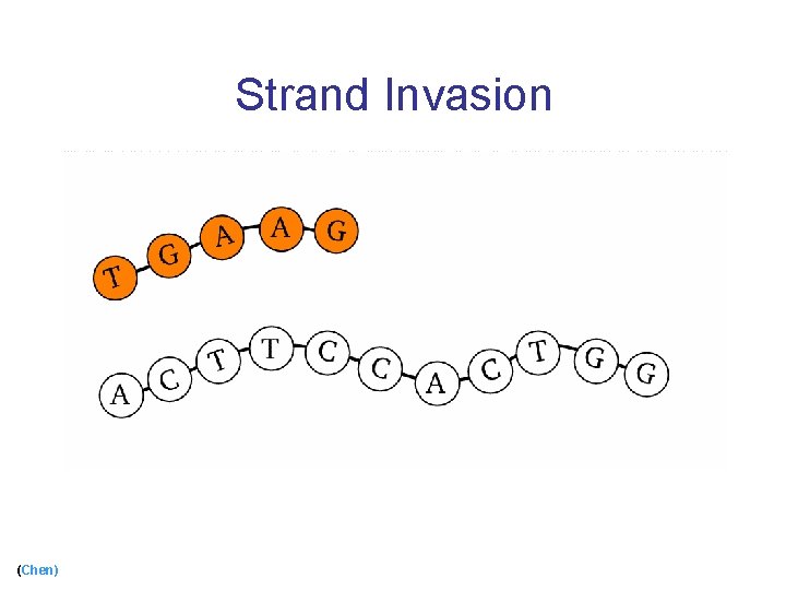 Strand Invasion (Chen) 