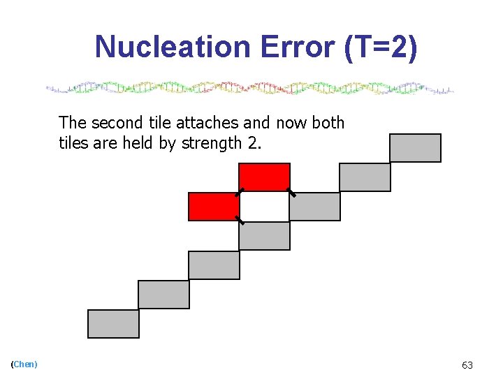 Nucleation Error (T=2) The second tile attaches and now both tiles are held by