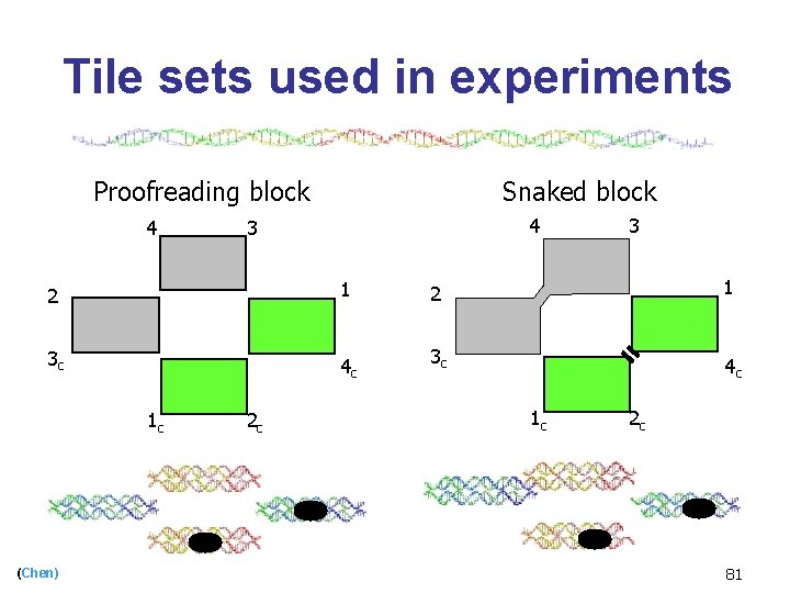 Tile sets used in experiments Proofreading block 4 Snaked block 4 3 3 2