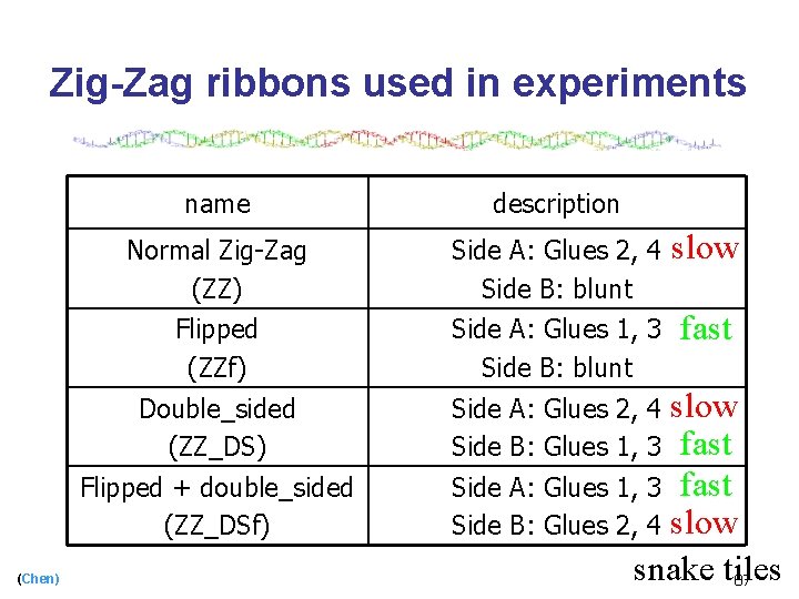 Zig-Zag ribbons used in experiments name description Normal Zig-Zag (ZZ) Side A: Glues 2,