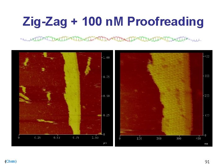 Zig-Zag + 100 n. M Proofreading (Chen) 91 