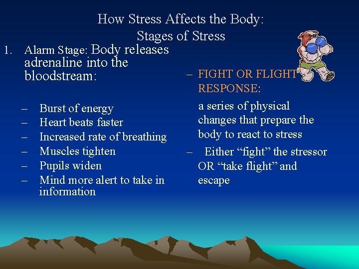 How Stress Affects the Body: Stages of Stress 1. Alarm Stage: Body releases adrenaline