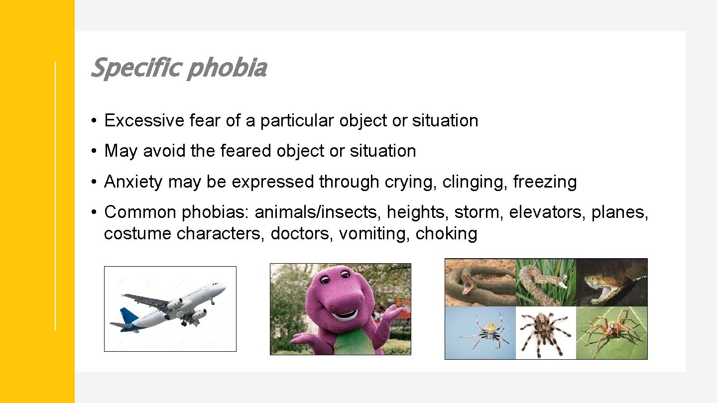 Specific phobia • Excessive fear of a particular object or situation • May avoid