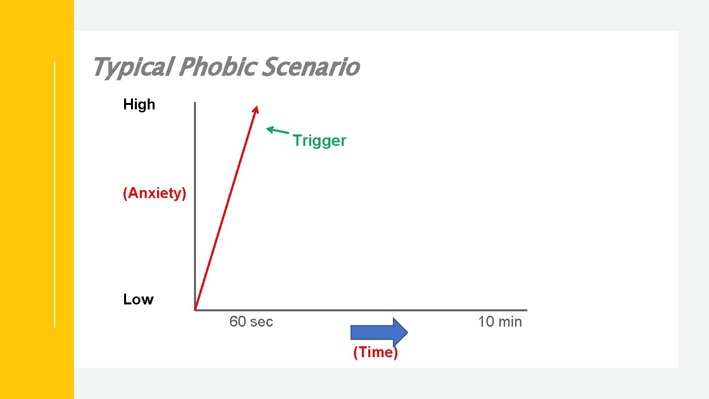Typical Phobic Scenario High Trigger (Anxiety) Low 60 sec 10 min (Time) 