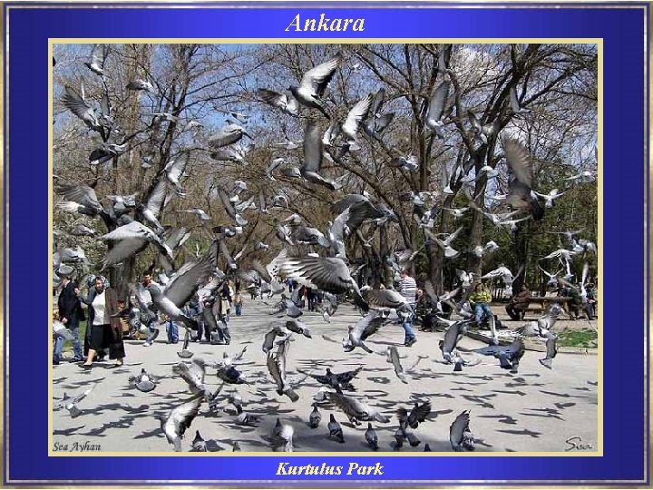 Ankara Kurtulus Park 