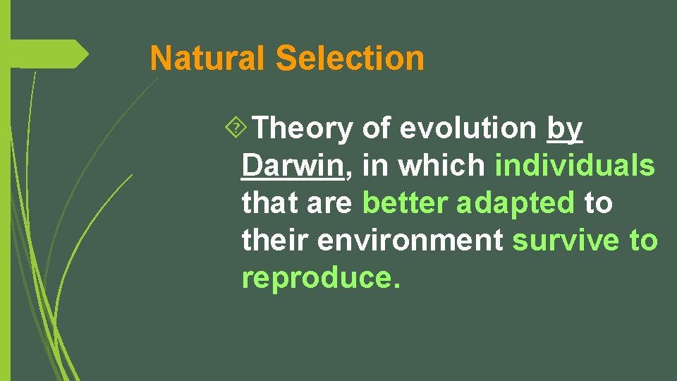 Natural Selection Theory of evolution by Darwin, in which individuals that are better adapted