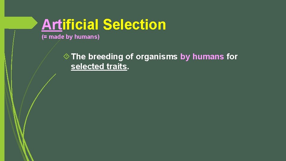 Artificial Selection (= made by humans) The breeding of organisms by humans for selected