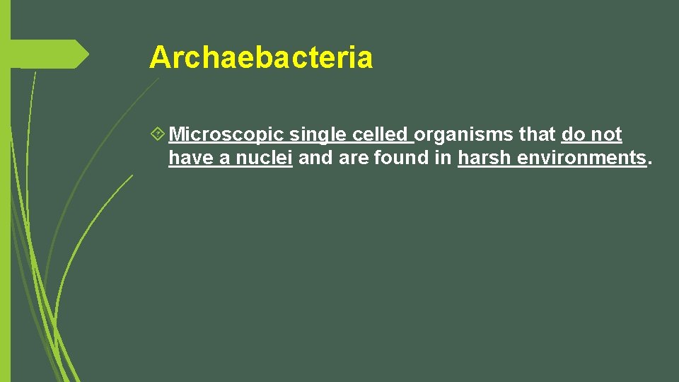 Archaebacteria Microscopic single celled organisms that do not have a nuclei and are found
