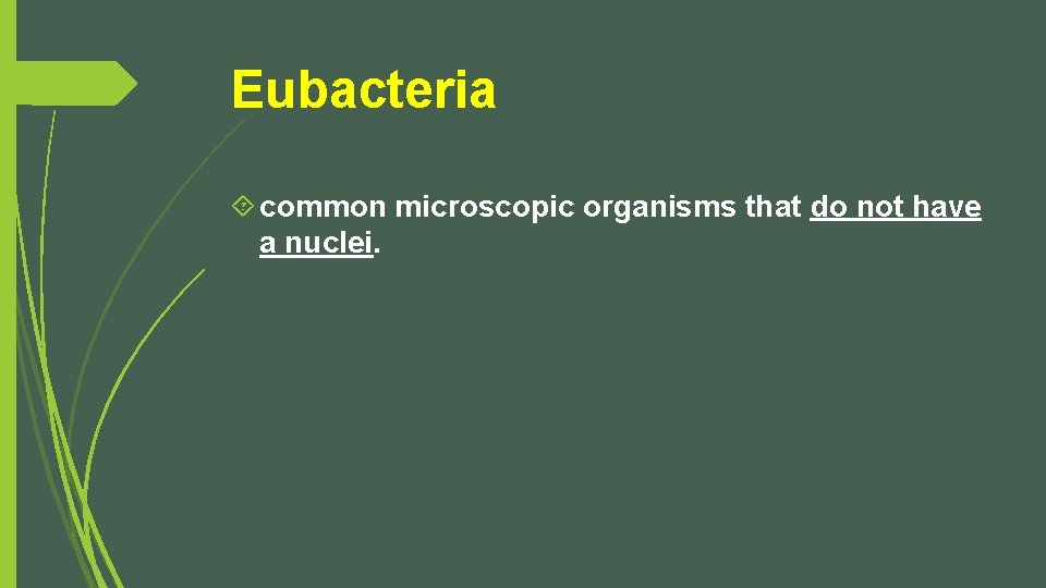 Eubacteria common microscopic organisms that do not have a nuclei. 
