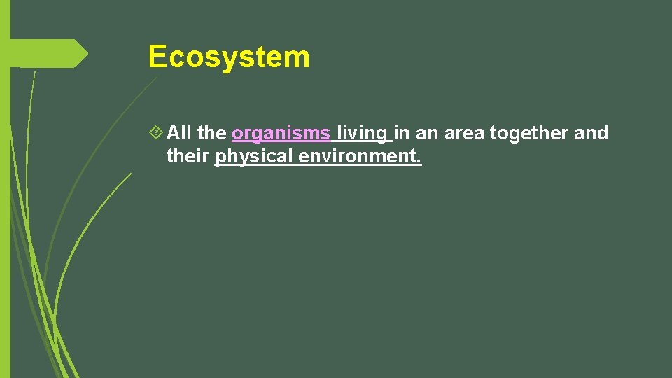 Ecosystem All the organisms living in an area together and their physical environment. 