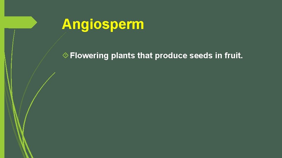 Angiosperm Flowering plants that produce seeds in fruit. 