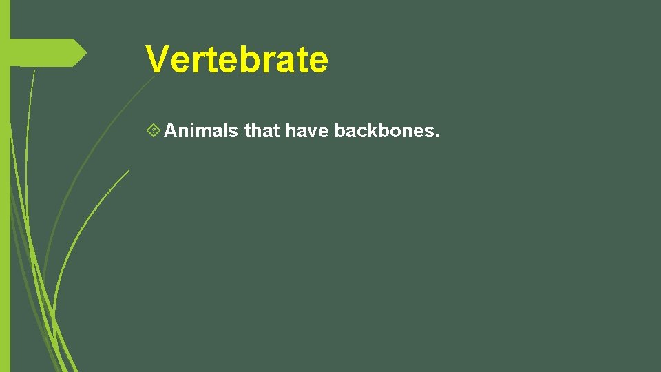 Vertebrate Animals that have backbones. 