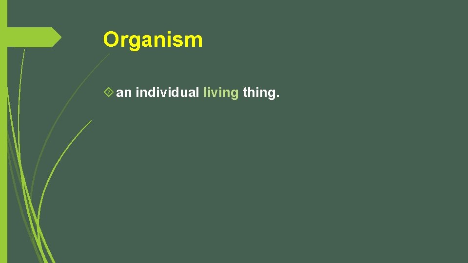 Organism an individual living thing. 