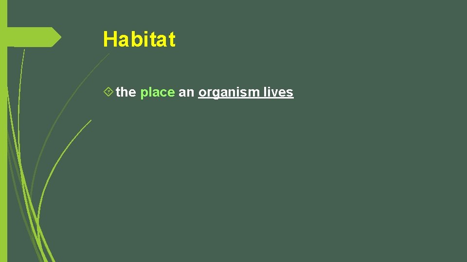 Habitat the place an organism lives 