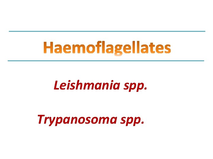 Leishmania spp. Trypanosoma spp. 