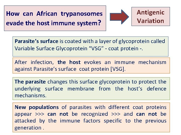 How can African trypanosomes evade the host immune system? Antigenic Variation Parasite’s surface is
