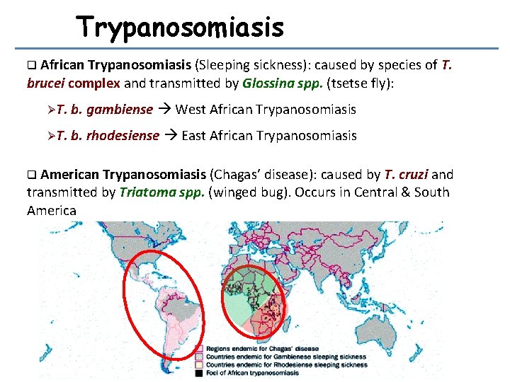 Trypanosomiasis q African Trypanosomiasis (Sleeping sickness): caused by species of T. brucei complex and