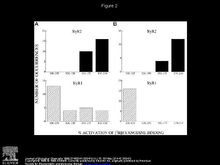 Figure 2 Journal of Biological Chemistry 1999 27433341 -33347 DOI: (10. 1074/jbc. 274. 47.