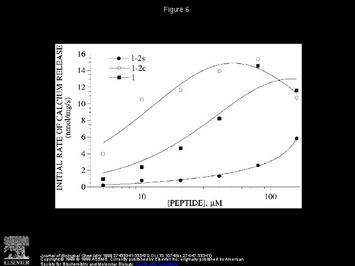 Figure 6 Journal of Biological Chemistry 1999 27433341 -33347 DOI: (10. 1074/jbc. 274. 47.