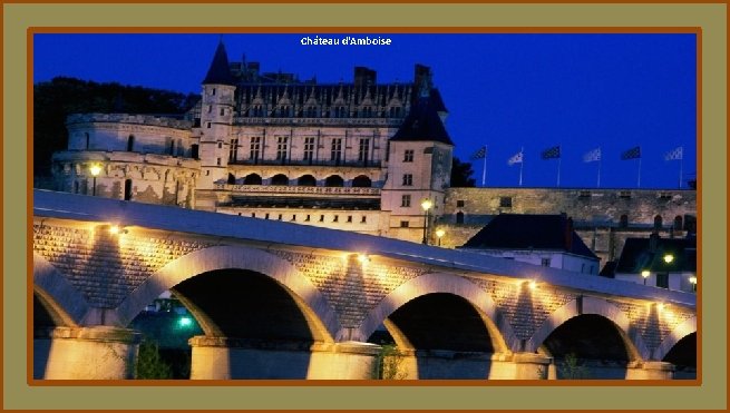 Château d'Amboise 