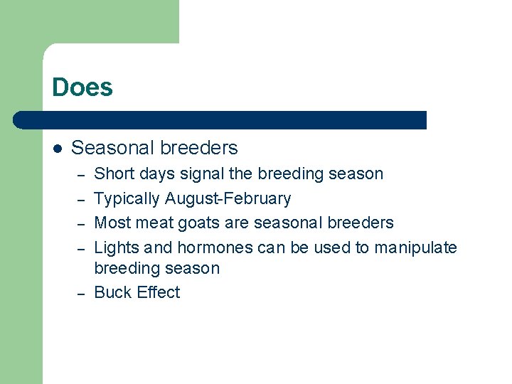 Does l Seasonal breeders – – – Short days signal the breeding season Typically
