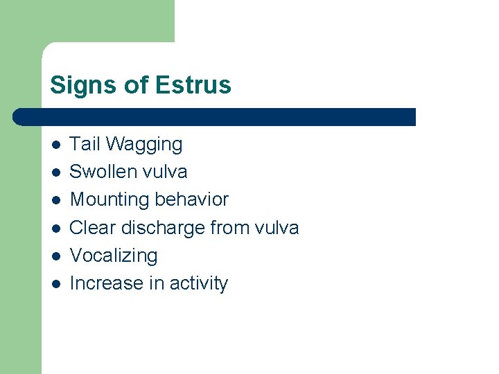 Signs of Estrus l l l Tail Wagging Swollen vulva Mounting behavior Clear discharge