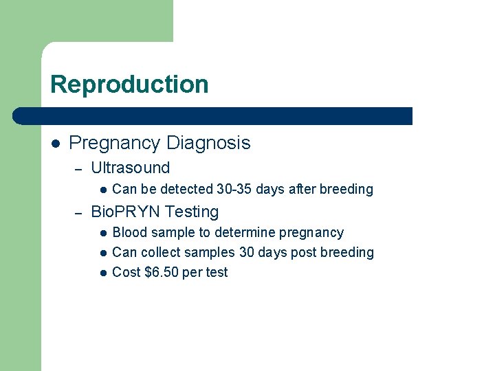 Reproduction l Pregnancy Diagnosis – Ultrasound l – Can be detected 30 -35 days