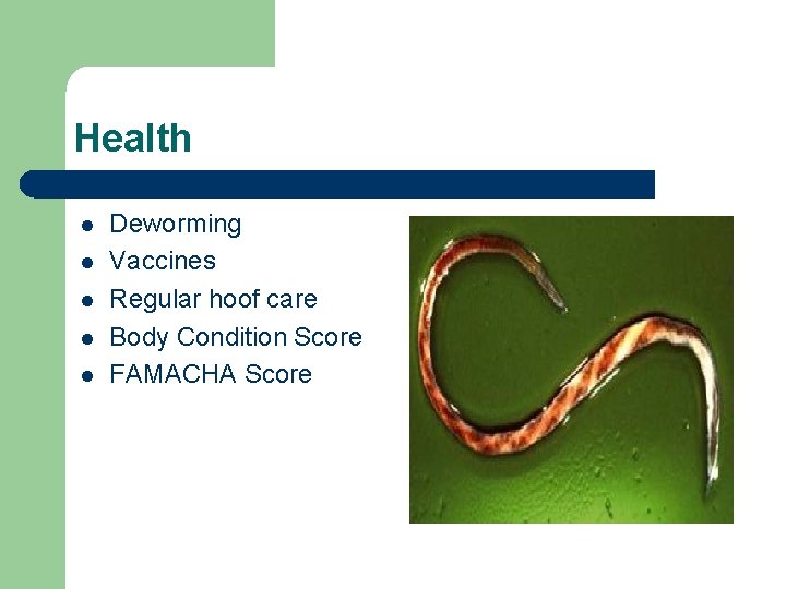 Health l l l Deworming Vaccines Regular hoof care Body Condition Score FAMACHA Score