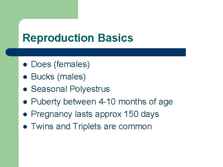 Reproduction Basics l l l Does (females) Bucks (males) Seasonal Polyestrus Puberty between 4