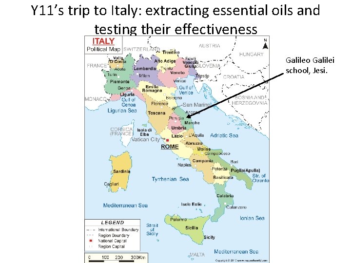 Y 11’s trip to Italy: extracting essential oils and testing their effectiveness Galileo Galilei