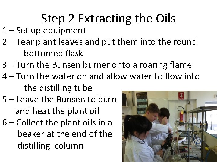 Step 2 Extracting the Oils 1 – Set up equipment 2 – Tear plant