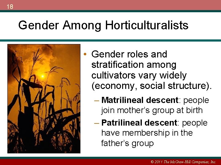 18 Gender Among Horticulturalists • Gender roles and stratification among cultivators vary widely (economy,