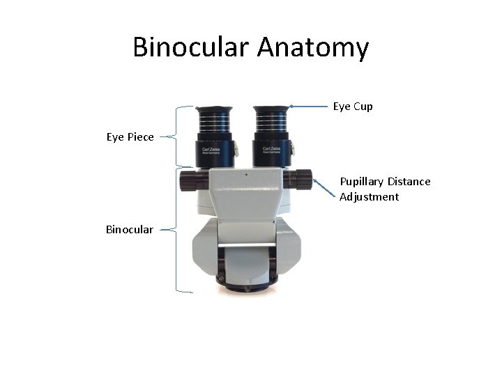Binocular Anatomy Eye Cup Eye Piece Pupillary Distance Adjustment Binocular 