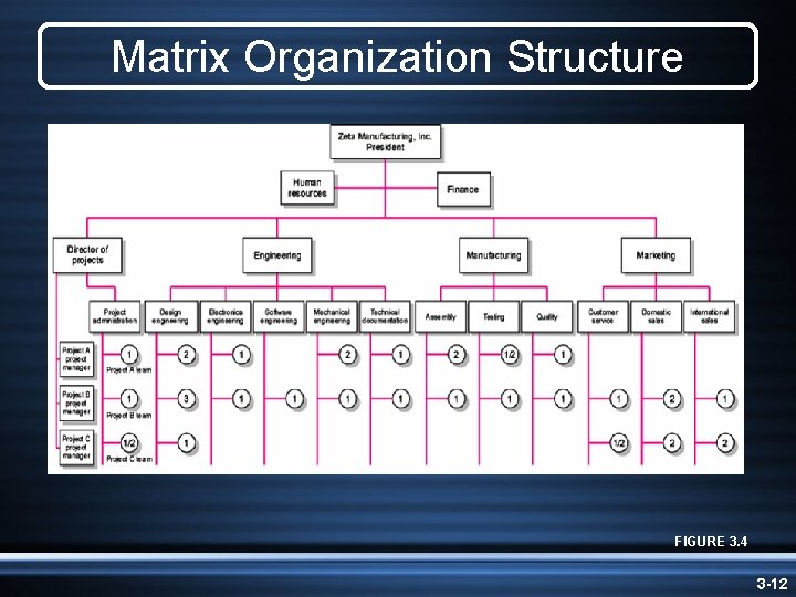 Matrix Organization Structure FIGURE 3. 4 3 -12 