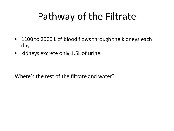 Pathway of the Filtrate • 1100 to 2000 L of blood flows through the