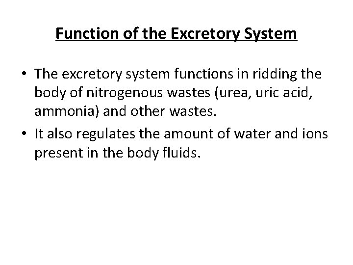 Function of the Excretory System • The excretory system functions in ridding the body