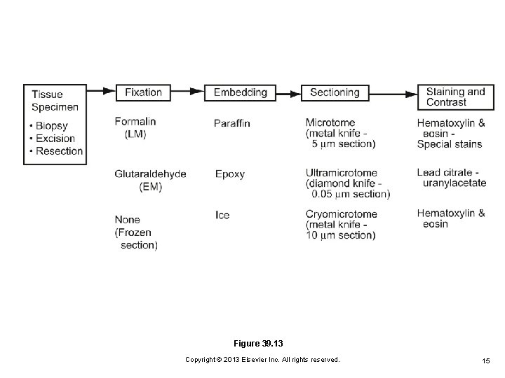 Figure 39. 13 Copyright © 2013 Elsevier Inc. All rights reserved. 15 