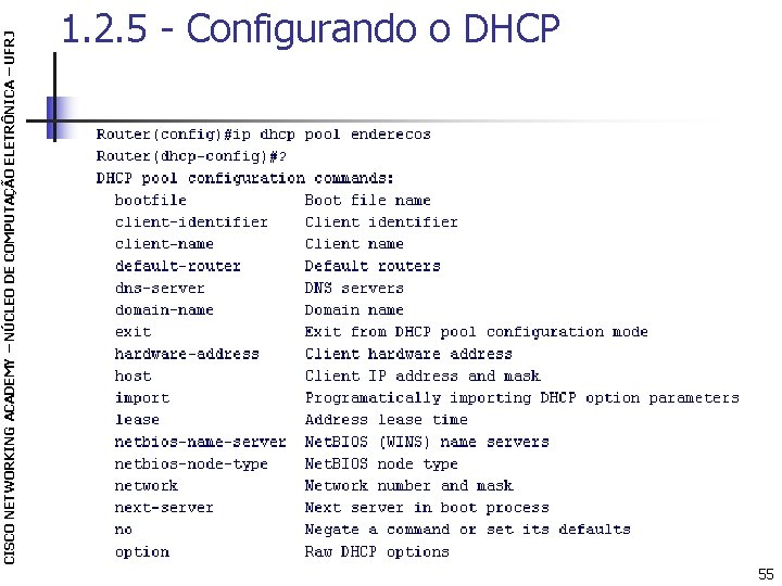 CISCO NETWORKING ACADEMY – NÚCLEO DE COMPUTAÇÃO ELETRÔNICA – UFRJ 1. 2. 5 -