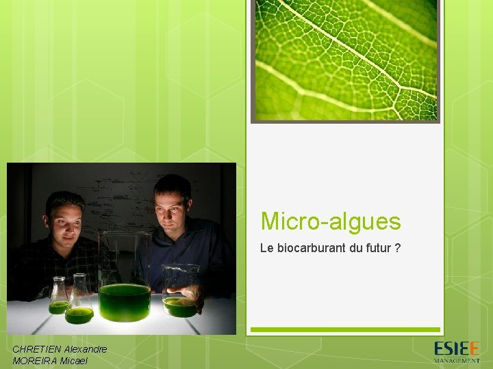 Micro-algues Le biocarburant du futur ? CHRETIEN Alexandre MOREIRA Micael 