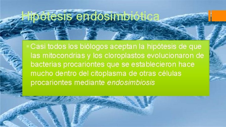 Hipótesis endosimbiótica § Casi todos los biólogos aceptan la hipótesis de que las mitocondrias