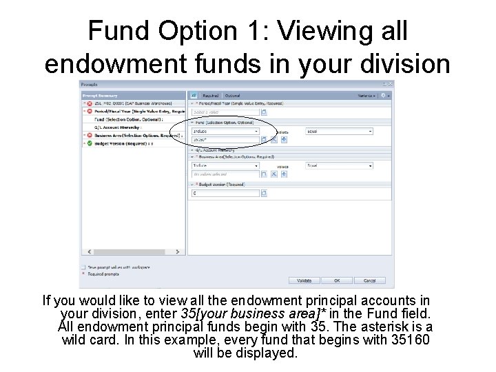 Fund Option 1: Viewing all endowment funds in your division If you would like