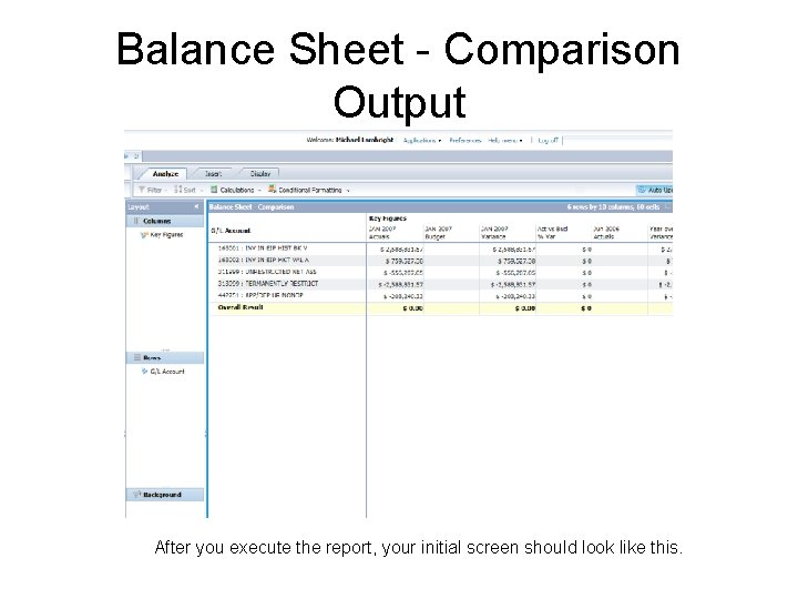 Balance Sheet - Comparison Output After you execute the report, your initial screen should