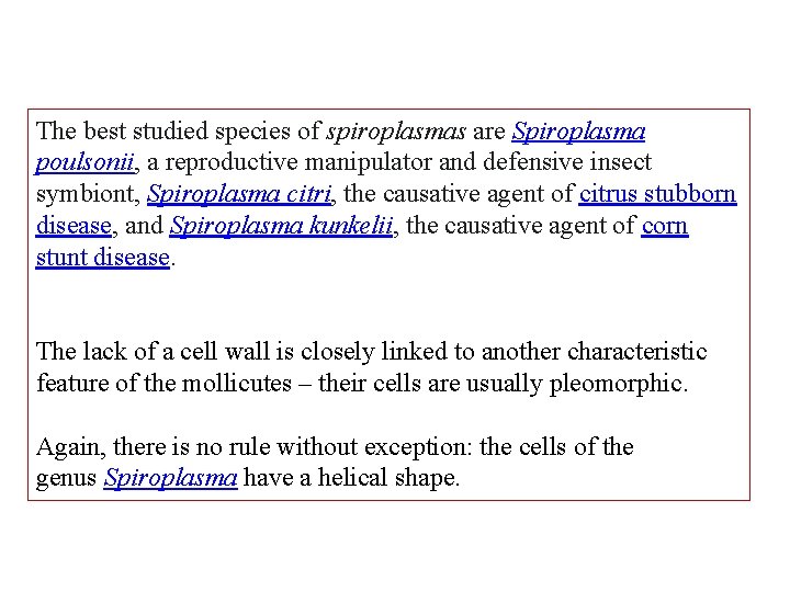 The best studied species of spiroplasmas are Spiroplasma poulsonii, a reproductive manipulator and defensive