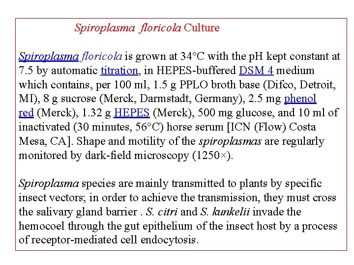 Spiroplasma floricola Culture Spiroplasma floricola is grown at 34°C with the p. H kept