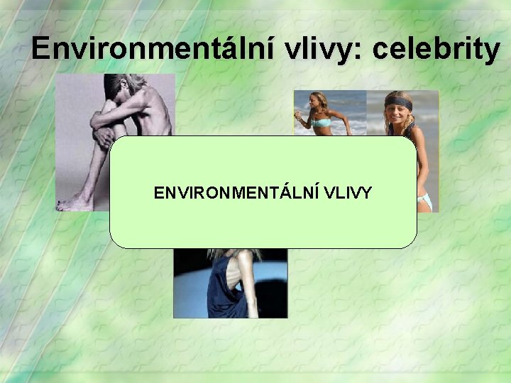 Environmentální vlivy: celebrity ENVIRONMENTÁLNÍ VLIVY 