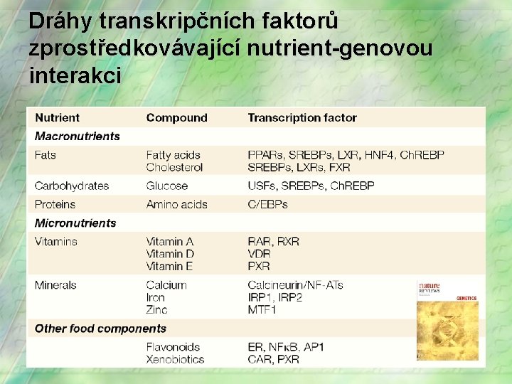 Dráhy transkripčních faktorů zprostředkovávající nutrient-genovou interakci 