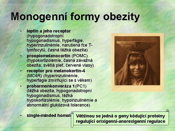 Monogenní formy obezity • • • leptin a jeho receptor (hypogonadotropní hypogonadismus, hyperfágie, hyperinzulinémie,