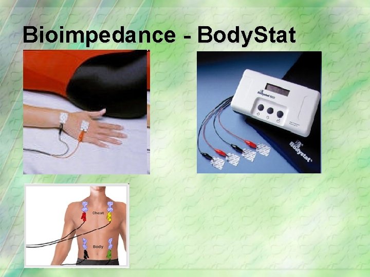 Bioimpedance - Body. Stat 