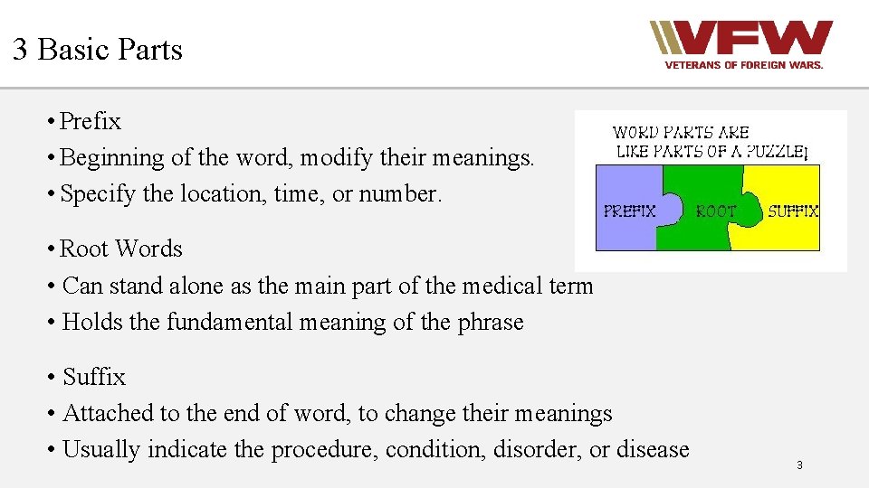 3 Basic Parts • Prefix • Beginning of the word, modify their meanings. •
